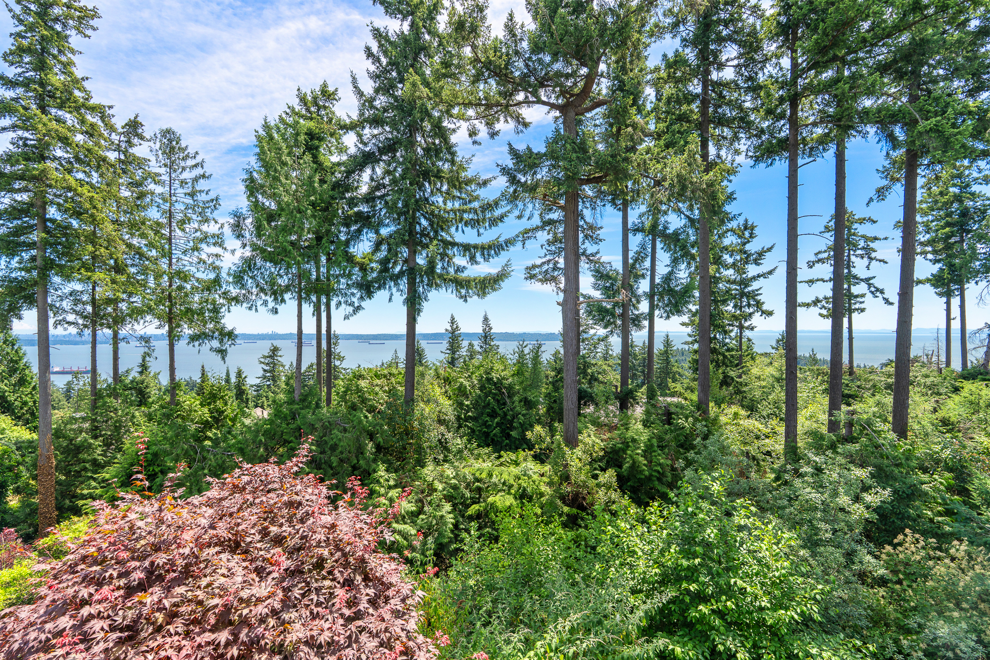 #2 – 5402 West Vista Court